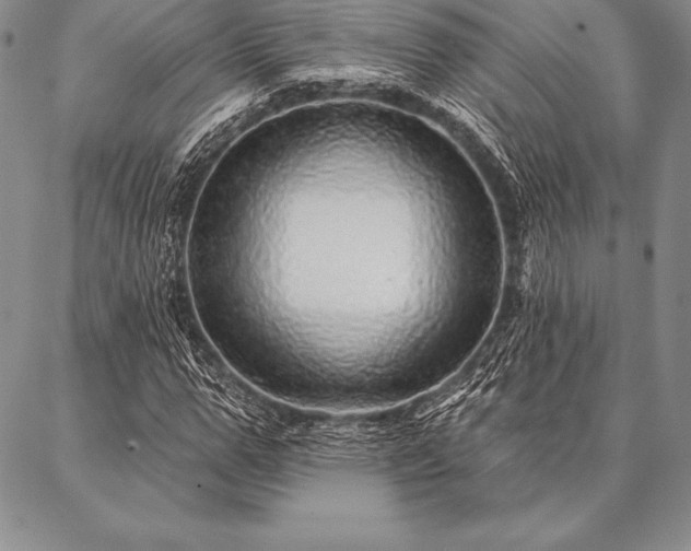 X0000087380967200704271553