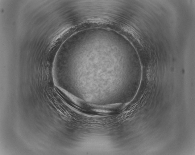 X0000087380968200704271553