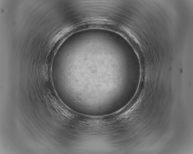 X0000087380970200704271553