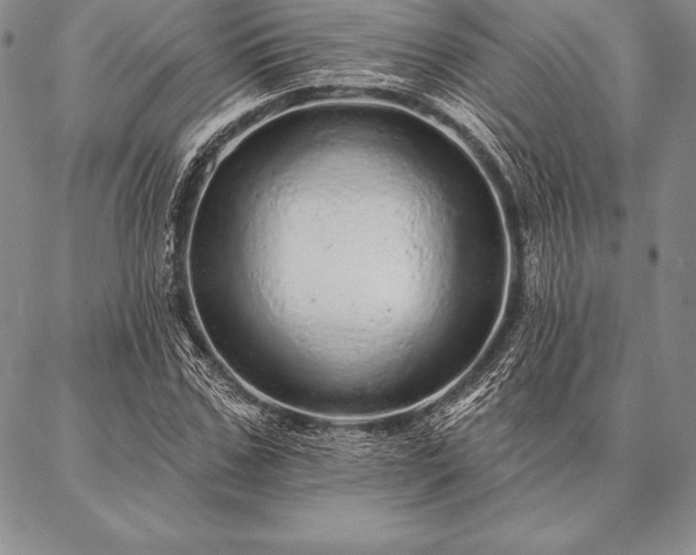 X0000087380971200704271553