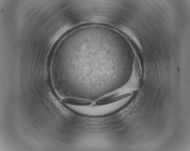 X0000087380972200704271553