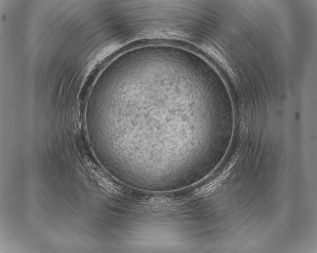 X0000087380974200704271553