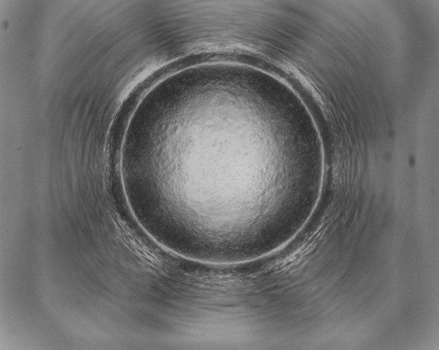 X0000087380975200704271553