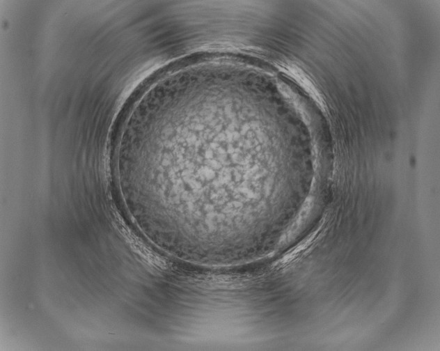 X0000087380976200704271553