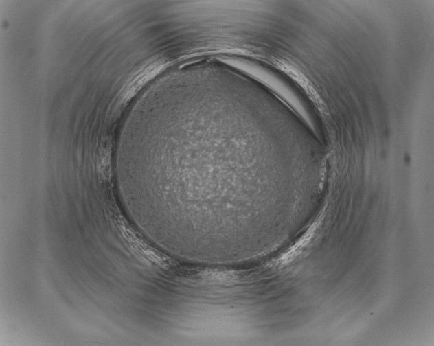 X0000087380977200704271553