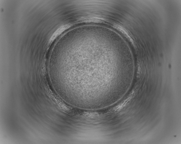 X0000087380978200704271553