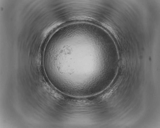 X0000087380979200704271553