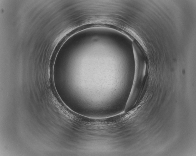 X0000087380980200704271553