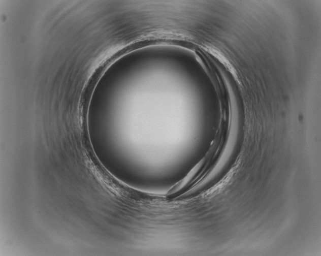 X0000087380981200704271553