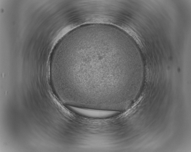 X0000087380982200704271553