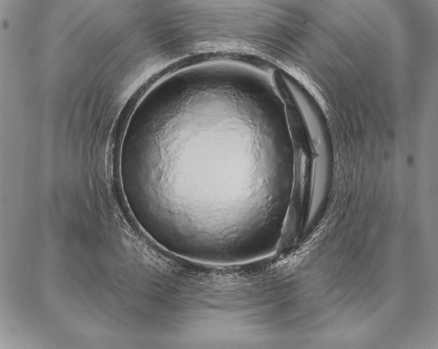 X0000087380983200704271553