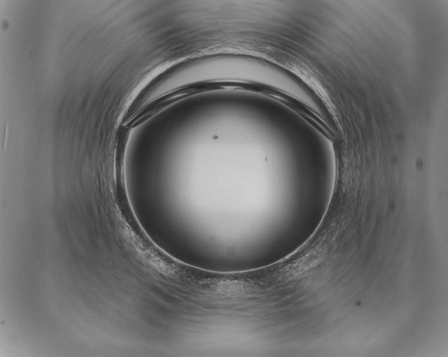 X0000087380984200704271553