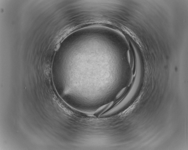 X0000087380985200704271553