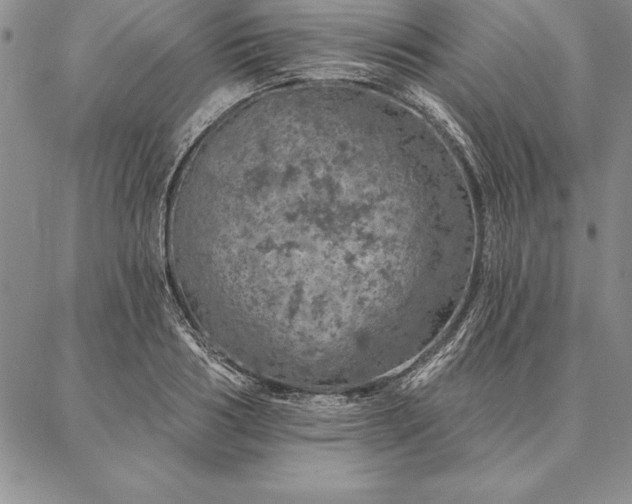 X0000087380986200704271553