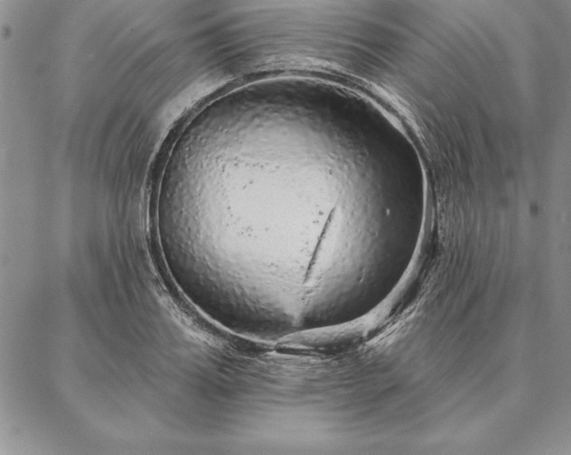 X0000087380987200704271553