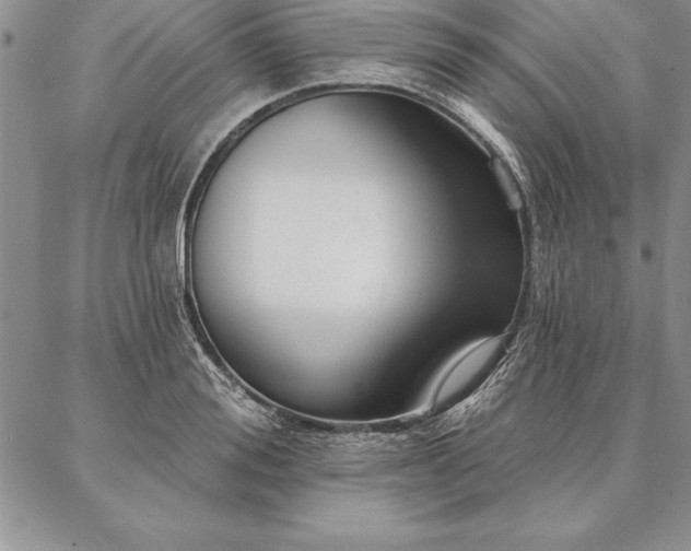 X0000087380988200704271553