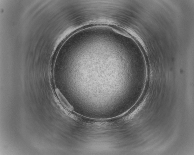 X0000087380989200704271553