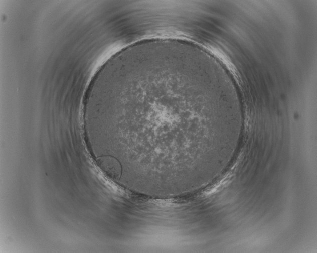 X0000087380990200704271553