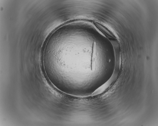 X0000087380991200704271553