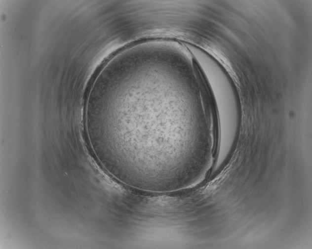 X0000087380992200704271553