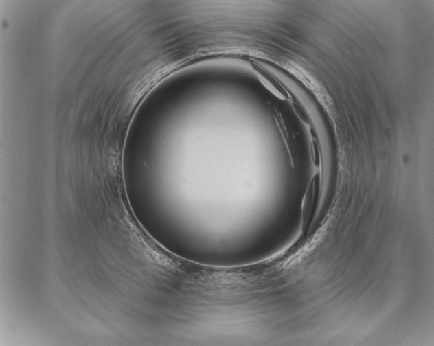 X0000087380993200704271553