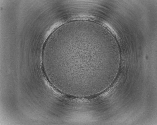 X0000087380994200704271553