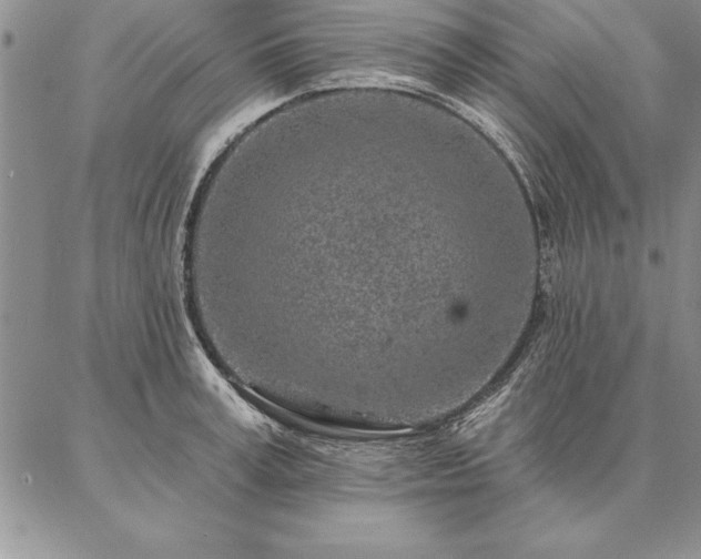 X0000087380995200704271553