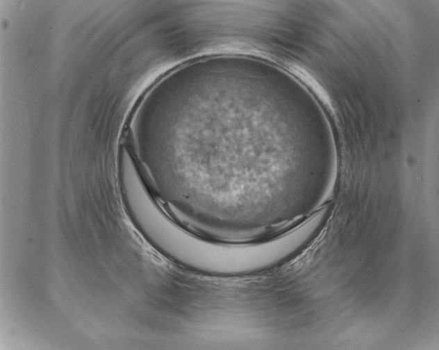 X0000087380996200704271553