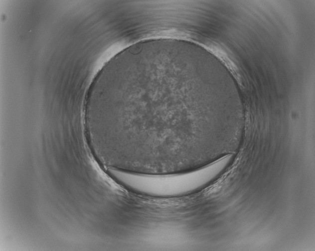 X0000087380998200704271553