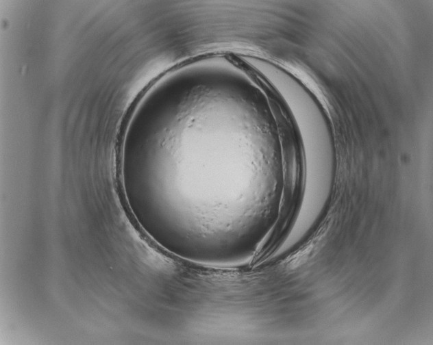 X0000087380999200704271553