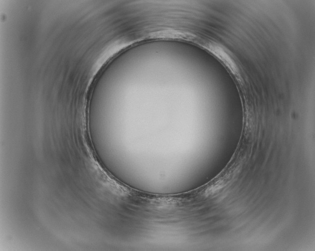 X0000087381000200704271552