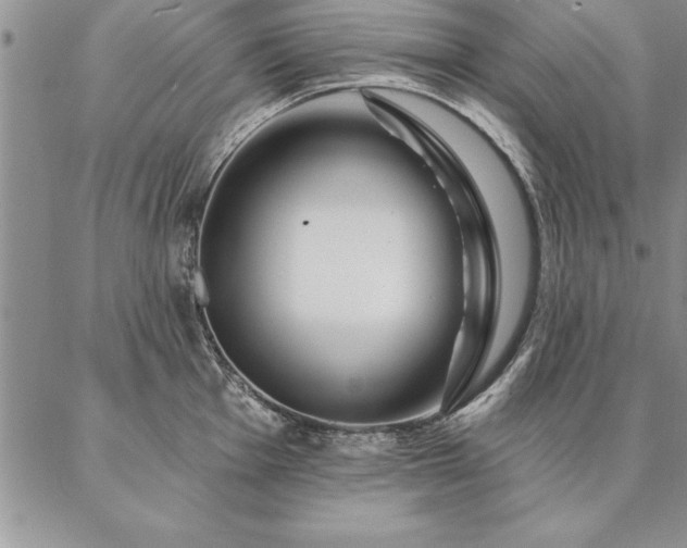 X0000087381001200704271552