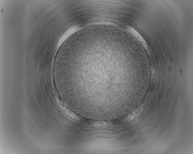 X0000087381002200704271552