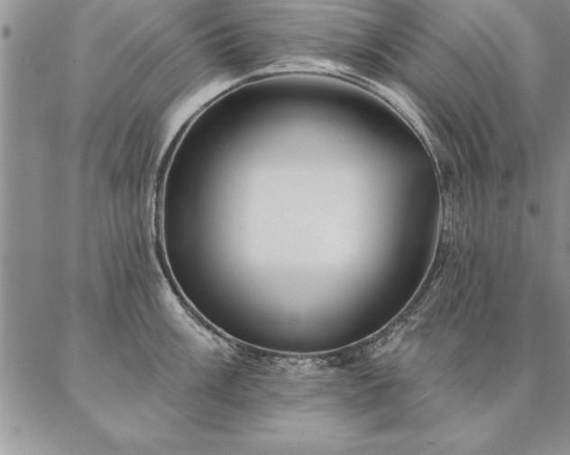 X0000087381003200704271552