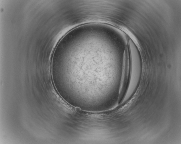 X0000087381004200704271552