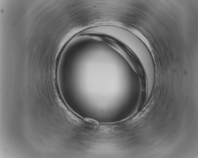 X0000087381005200704271552