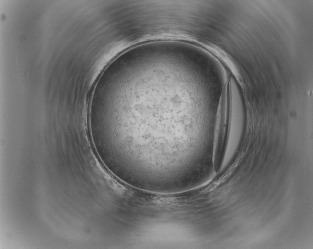 X0000087381006200704271552