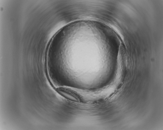 X0000087381007200704271552