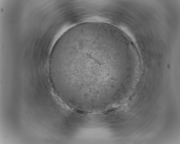 X0000087381008200704271552