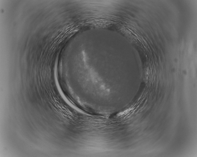 X0000087381010200704271552