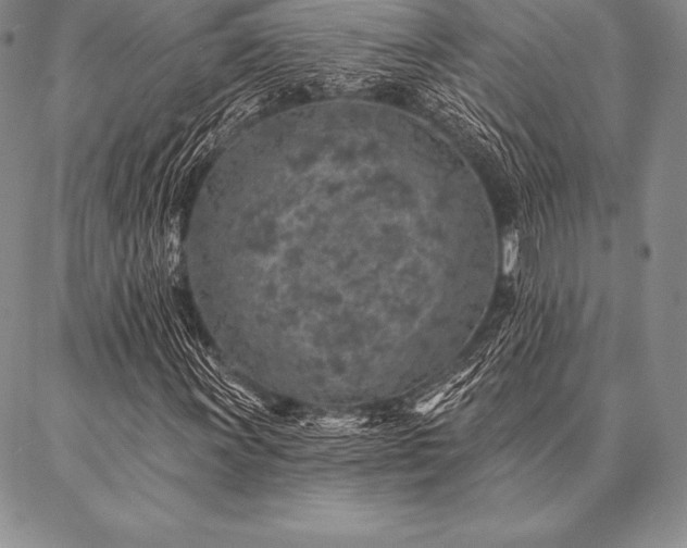 X0000087381011200704271552