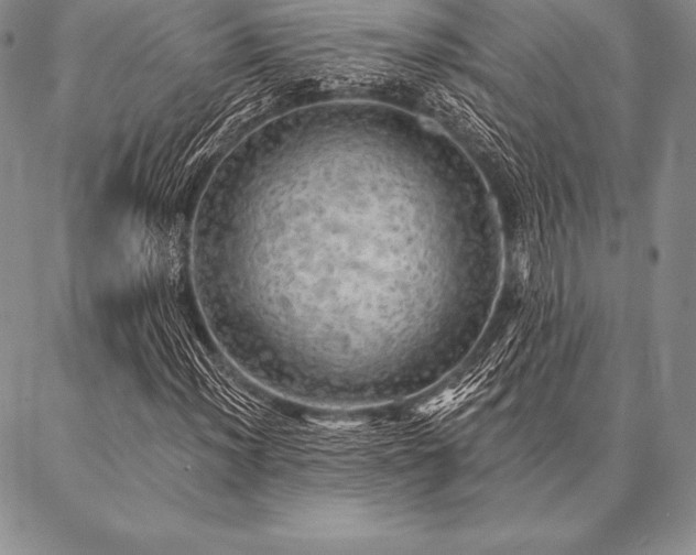 X0000087381012200704271552