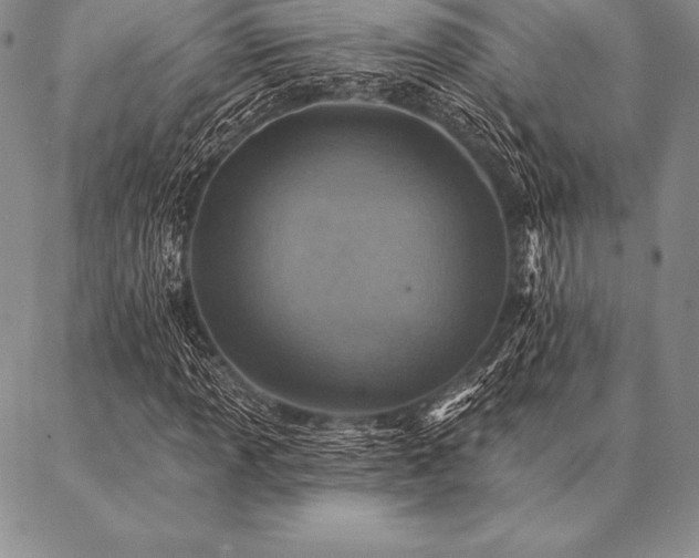 X0000087381013200704271552