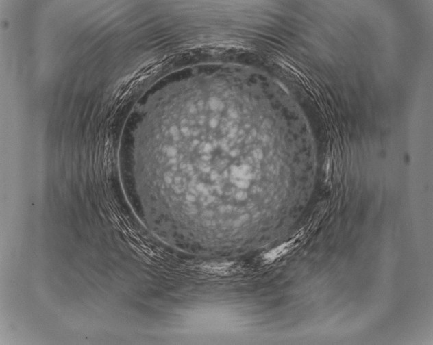 X0000087381014200704271552