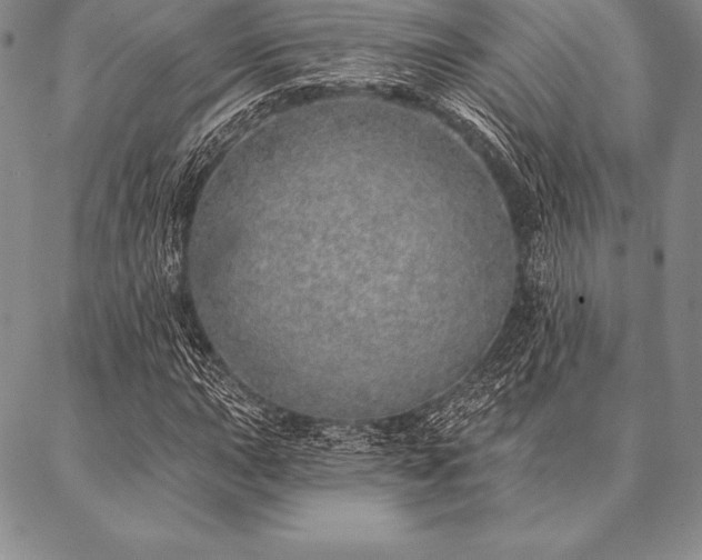 X0000087381015200704271552