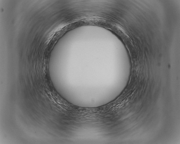 X0000087381016200704271552