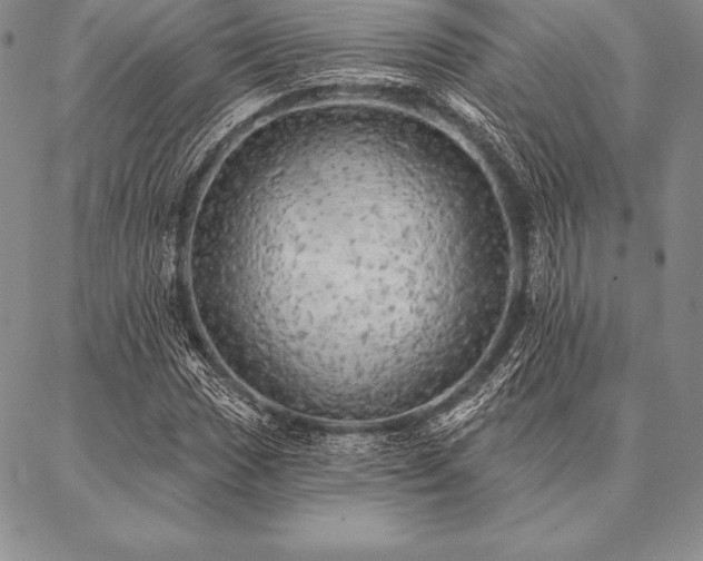 X0000087381017200704271552