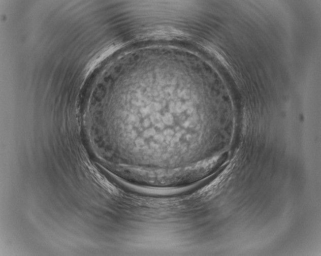 X0000087381018200704271552