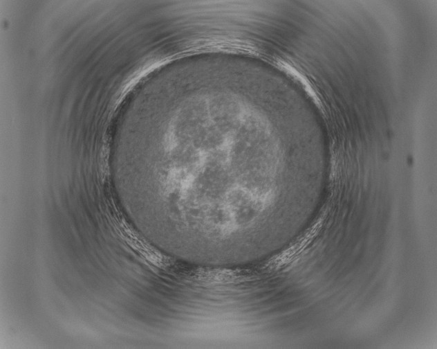 X0000087381019200704271552