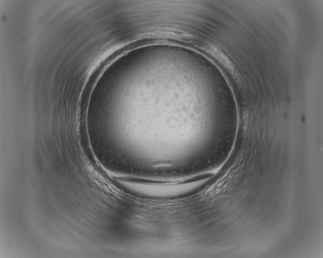 X0000087381020200704271552